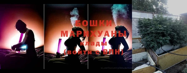 гашик Арсеньев