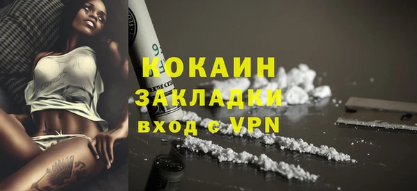 гашик Арсеньев
