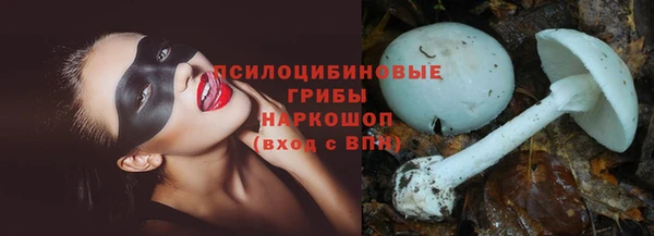 гашик Арсеньев