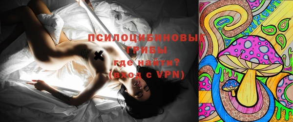 шишки Алексин